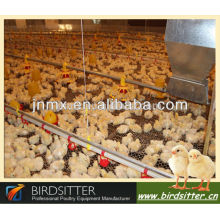 15% OFF Modern Automatic Poultry Equipment of Chicken House